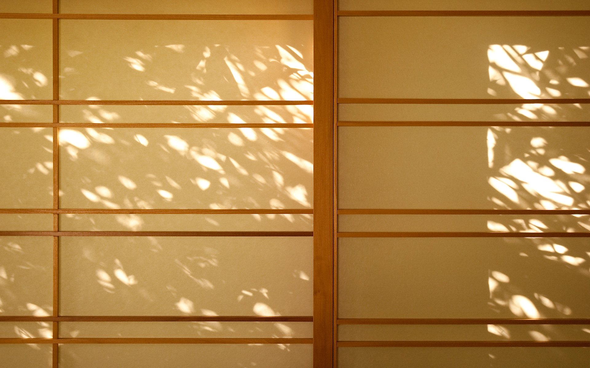 Modern open living area