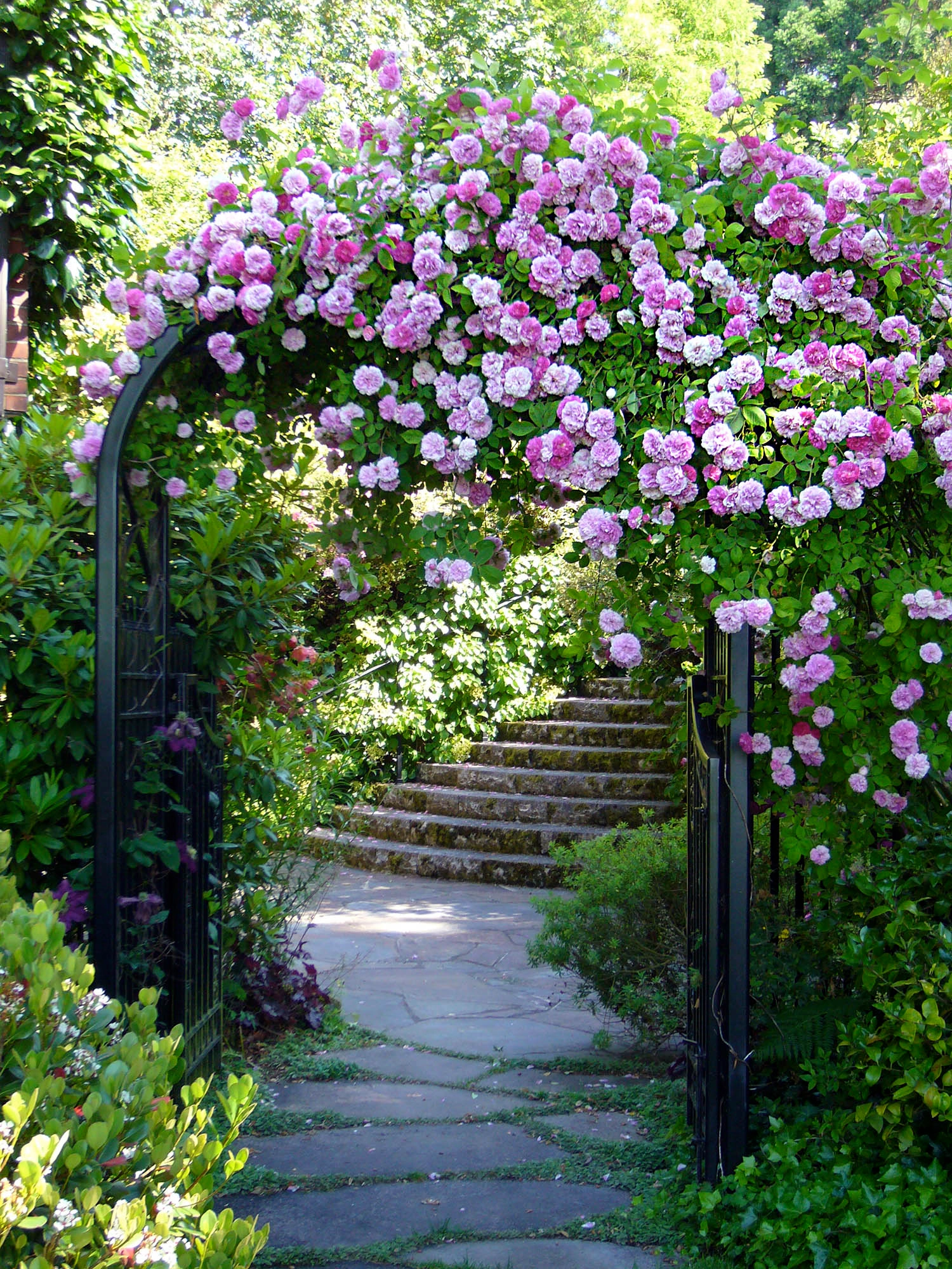 Windermere Arbors - windermereArbors2