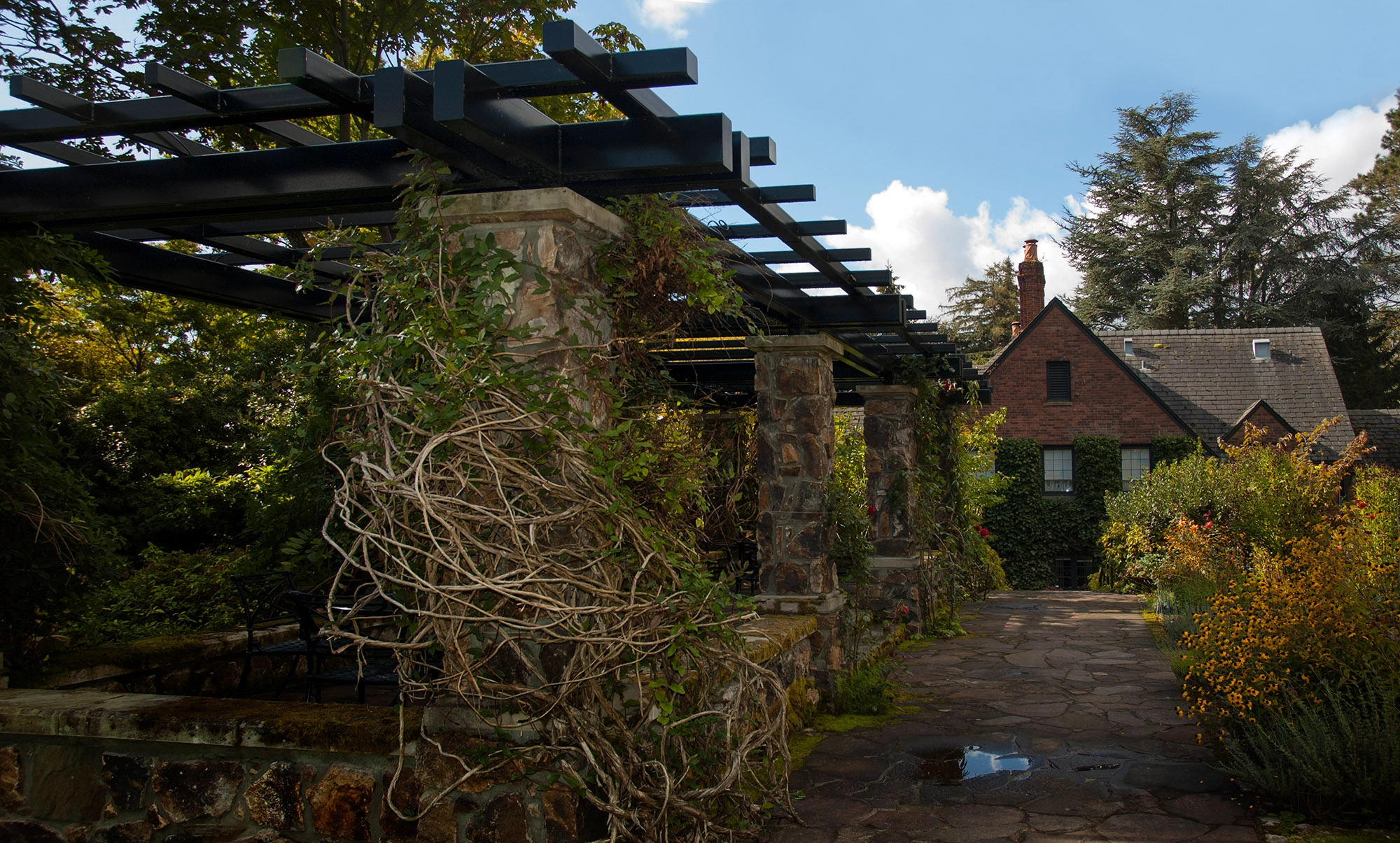 Windermere Arbors - windermereArbors9