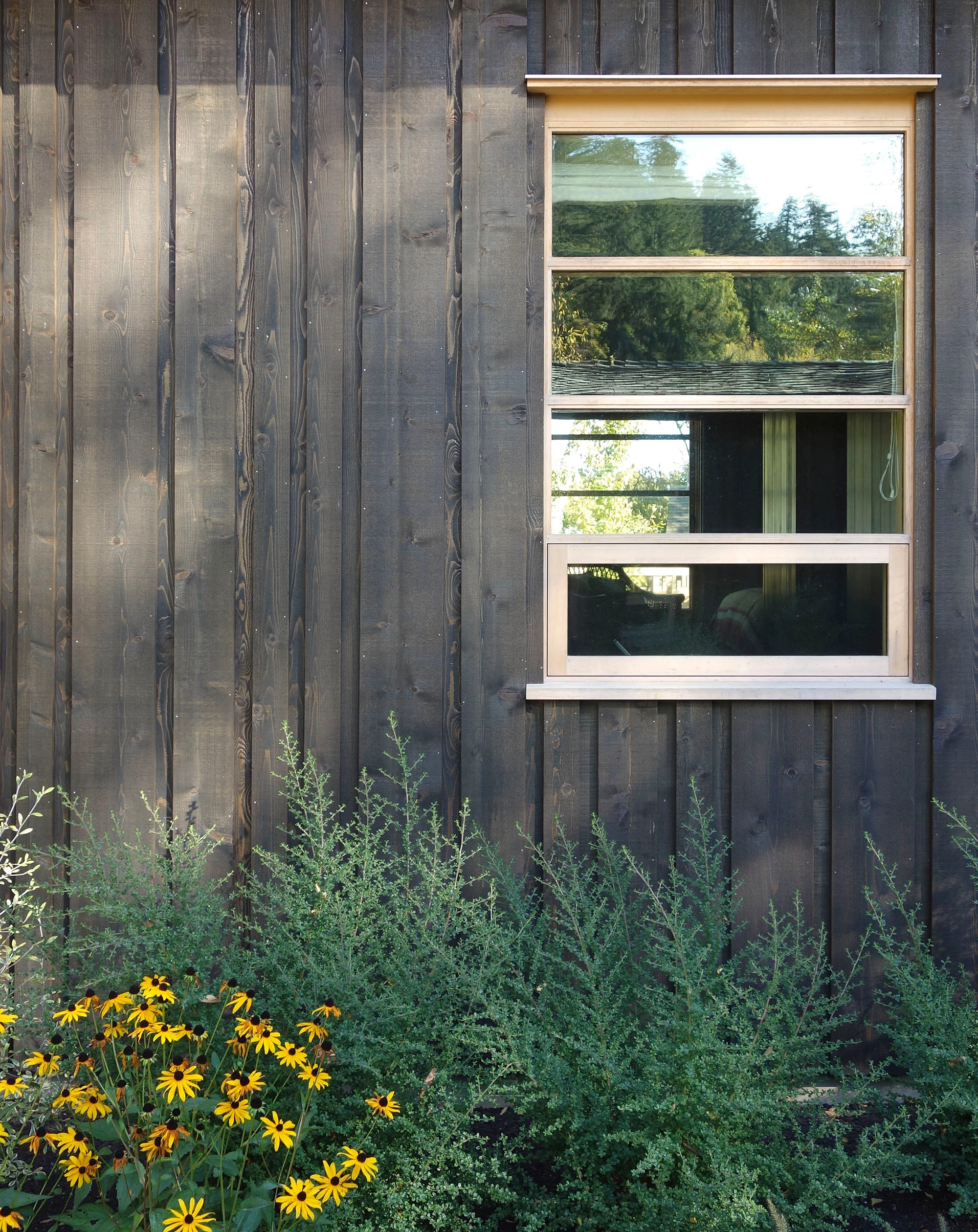 Beans-Bight Residence - koyoDSC05944revB